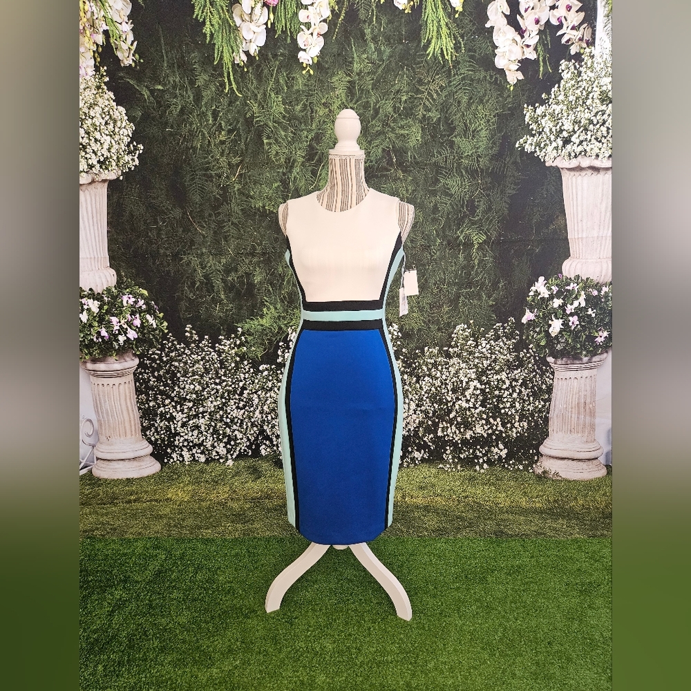 Calvin Klein Colorblock Roundneck Shift Dress (Size 2, Royal Blue)